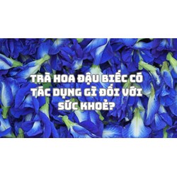 Trà hoa đậu biếc có tác dụng gì đối với sức khoẻ?