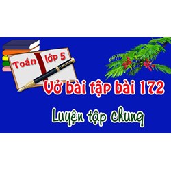 Giải vở bài tập Toán 5 - bài 172: Luyện tập chung