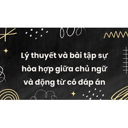 Lý thuyết và bài tập sự hòa hợp giữa chủ ngữ và động từ có đáp án