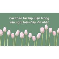 Các thao tác lập luận trong văn nghị luận đầy đủ nhất