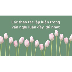 Các thao tác lập luận trong văn nghị luận đầy đủ nhất