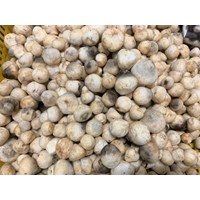 Nấm rơm có tác dụng gì đối với sức khoẻ?