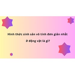 Hình thức sinh sản vô tính đơn giản nhất ở động vật là gì?