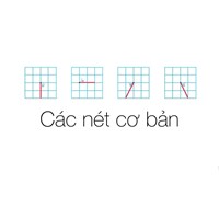 Tổng hợp những nét cơ bản và chữ cái cho bé bắt đầu tập viết