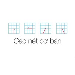 Tổng hợp những nét cơ bản và chữ cái cho bé bắt đầu tập viết