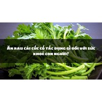Ăn rau cải cúc có tác dụng gì đối với sức khoẻ con người?
