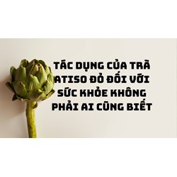 Tác dụng của Trà atiso đỏ đối với sức khỏe không phải ai cũng biết