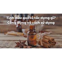 Tinh dầu quế có tác dụng gì? Công dụng và cách sử dụng
