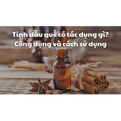 Tinh dầu quế có tác dụng gì? Công dụng và cách sử dụng