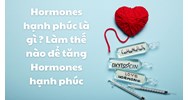 Hormones hạnh phúc là gì ? Làm thế nào để tăng Hormones hạnh phúc