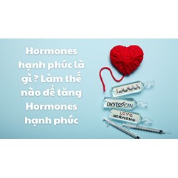 Hormones hạnh phúc là gì ? Làm thế nào để tăng Hormones hạnh phúc