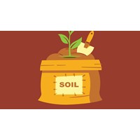 Thành phần hữu cơ trong đất bắt nguồn từ đâu?
