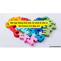 Bài tập tiếng Anh lớp 12 Unit 8 Life in the future (có đáp án)