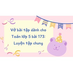 Vở bài tập dành cho Toán lớp 5 bài 173: Luyện tập chung