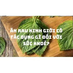 Ăn rau kinh giới có tác dụng gì đối với sức khoẻ?