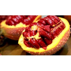 Tác dụng của quả gấc đối với sức khoẻ mà không phải ai cũng biết