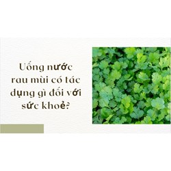 Uống nước rau mùi có tác dụng gì đối với sức khoẻ?