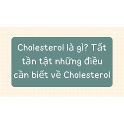 Cholesterol là gì? Tất tần tật những điều cần biết về Cholesterol