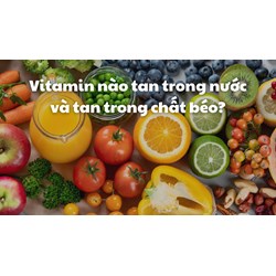 Vitamin nào tan trong nước và tan trong chất béo?