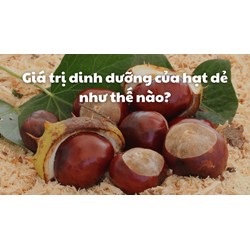 Giá trị dinh dưỡng của hạt dẻ như thế nào?