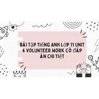 Bài tập tiếng Anh lớp 11 Unit 4 Volunteer Work có đáp án chi tiết