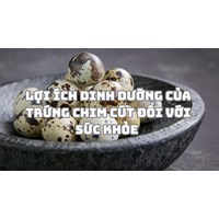 Lợi ích dinh dưỡng của trứng chim cút đối với sức khỏe