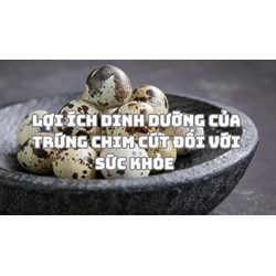Lợi ích dinh dưỡng của trứng chim cút đối với sức khỏe