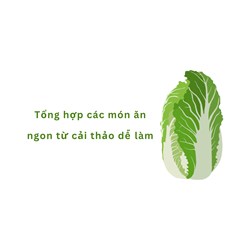 Tổng hợp các món ăn ngon từ cải thảo dễ làm