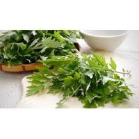 Ngải cứu là gì? Có được sử dụng như thế nào?
