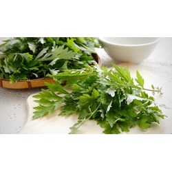 Ngải cứu là gì? Có được sử dụng như thế nào?