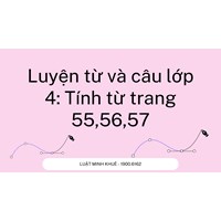 Luyện từ và câu lớp 4: Tính từ trang 55, 56, 57