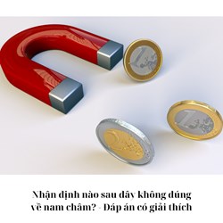 Nhận định nào sau đây không đúng về nam châm? - Đáp án có giải thích