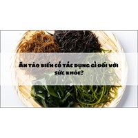 Ăn tảo biển có tác dụng gì đối với sức khỏe?