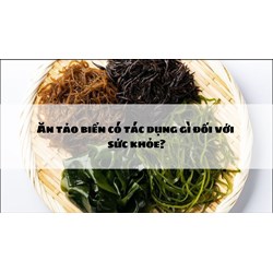 Ăn tảo biển có tác dụng gì đối với sức khỏe?
