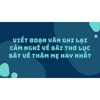 Viết đoạn văn ghi lại cảm nghĩ về bài thơ lục bát Về thăm mẹ hay nhất