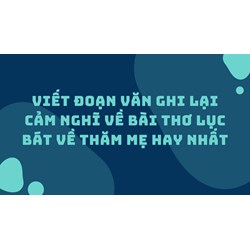 Viết đoạn văn ghi lại cảm nghĩ về bài thơ lục bát Về thăm mẹ hay nhất