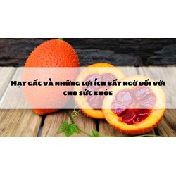 Hạt gấc và những lợi ích bất ngờ đối với cho sức khỏe