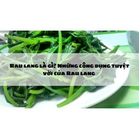 Rau lang là gì? Những công dụng tuyệt vời của Rau lang