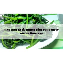 Rau lang là gì? Những công dụng tuyệt vời của Rau lang