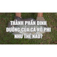 Thành phần dinh dưỡng của cá rô phi như thế nào?