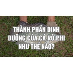 Thành phần dinh dưỡng của cá rô phi như thế nào?