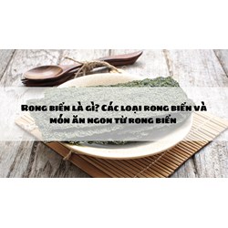 Rong biển là gì? Các loại rong biển và món ăn ngon từ rong biển