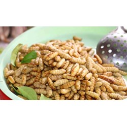 Nhộng tằm có tác dụng gì với sức khoẻ? Có gây dị ứng không?