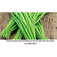 Thành phần dinh dưỡng và lợi ích đối với sức khỏe của Đậu đũa