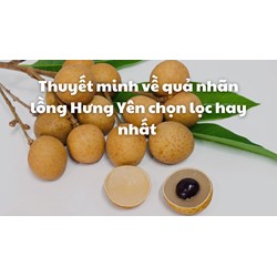 Thuyết minh về quả nhãn lồng Hưng Yên chọn lọc hay nhất