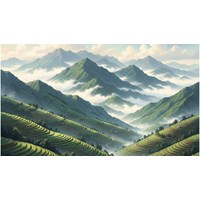 Nghị luận tác phẩm Lặng lẽ Sa Pa của Nguyễn Thành Long siêu hay