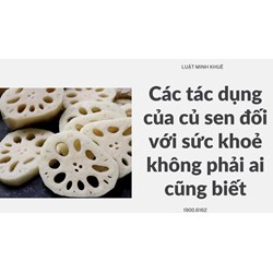 Các tác dụng của củ sen đối với sức khoẻ không phải ai cũng biết
