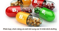Phân loại, chức năng và cách bổ sung các Vi chất dinh dưỡng
