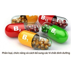 Phân loại, chức năng và cách bổ sung các Vi chất dinh dưỡng