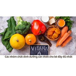 Các nhóm chất dinh dưỡng cần thiết cho bé đầy đủ nhất